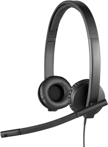 LOGITECH USB Ausinės H570e Ausinės on-ear su laidu