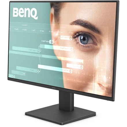 Monitorius BENQ GW2491 24" FHD IPS 100HZ HDMI/DP