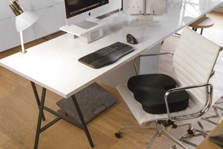 Kensington K75404EU kompiuterinė pelė RF belaidis + „Bluetooth“ 1600 DPI dešinei rankai