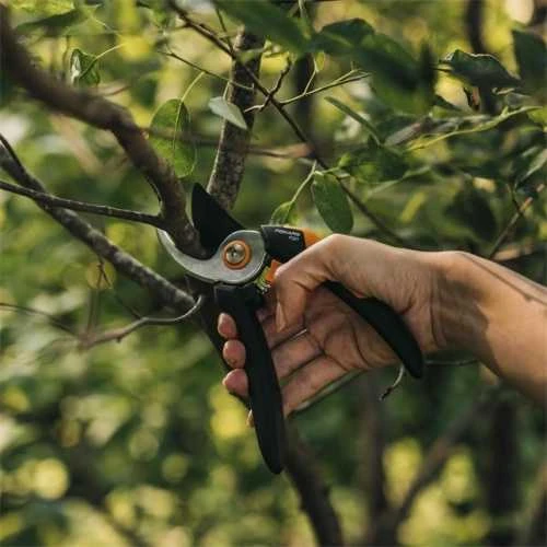 Fiskars Solid™ sekatorius prasilenkiančiais ašmenimis M (P321)