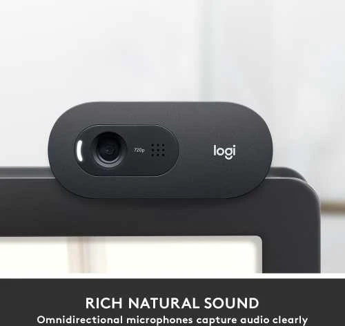 Internetinė kamera Logitech C505 HD webcam USB (960-001364)