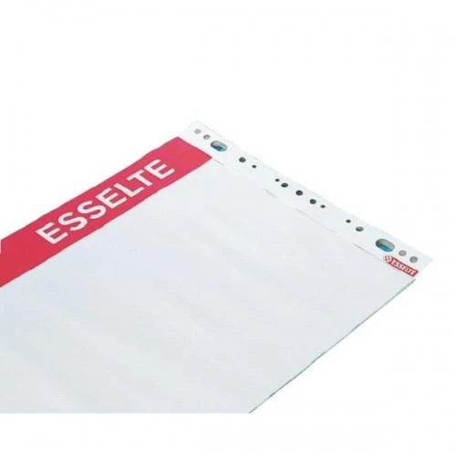 Konferencijų bloknotas ESSELTE, 590 x 830 mm, lygus, 50 lapų