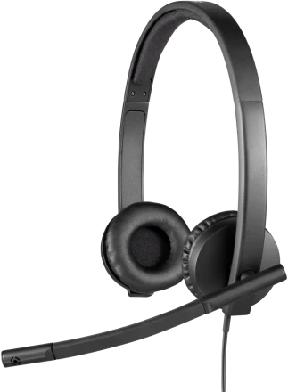 Logitech H570e Mono MS Teams Laidinės ausinės USB-A, Juoda