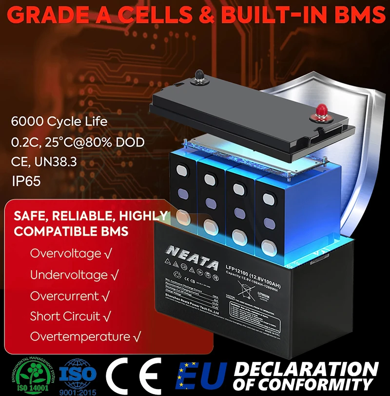 NEATA 14.6V 20A IP67 įkroviklis LiFePo4, GEL, AGM, SLA akumuliatoriui aprašymas - Prekės nuotrauka