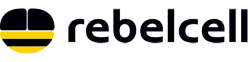 Rebelcell 12.6V 10A Lithium Ion akumuliatorių įkroviklis aprašymas - Prekės nuotrauka