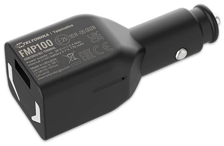 FMP100 TELTONIKA GPS SEKLYS