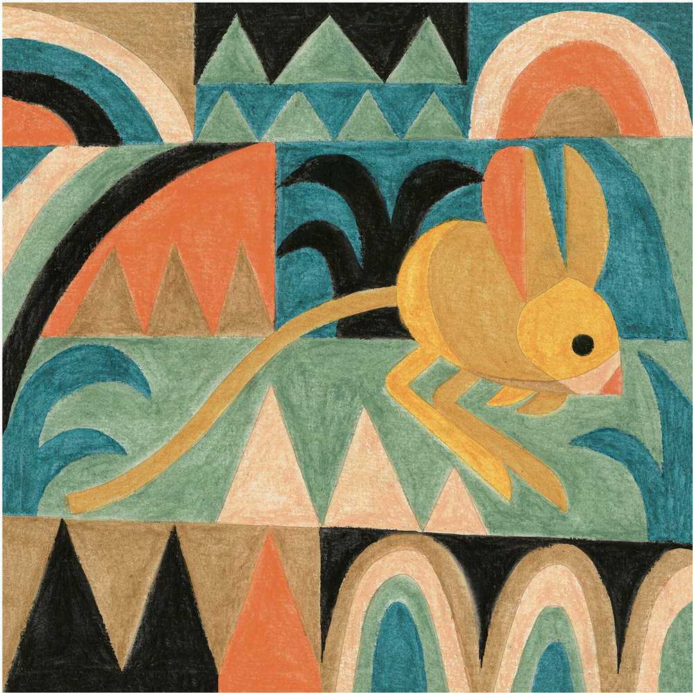 Djeco Įkvėpimas - Värvimine - Dykuma ( DJ09373 )