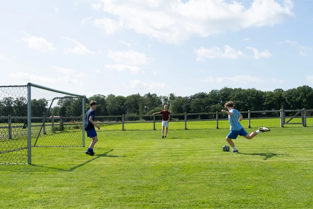 Grindinis aliuminio futbolo vartai EXIT Scala 500x200