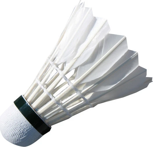 Badmintono plunksniukai Spartan Feather (6 vnt.)