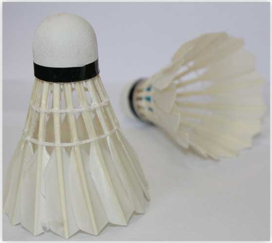 Badmintono plunksniukai Spartan Feather (6 vnt.)