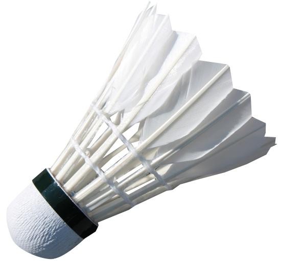 Badmintono plunksniukai Spartan Feather (6 vnt.)