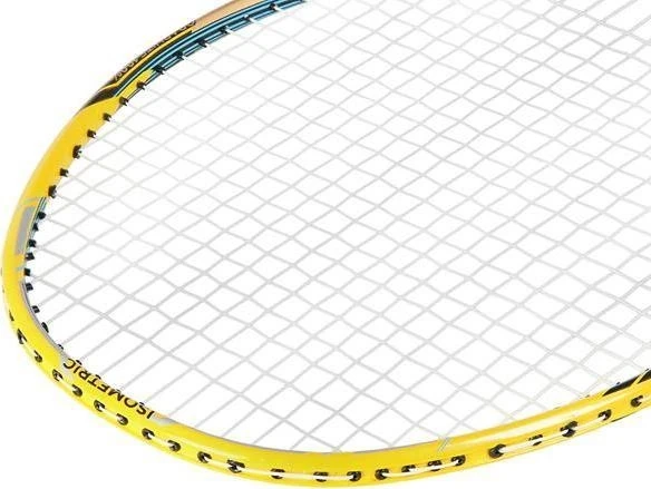 Nils Extreme Badmintono raketė su dėklu NILS NR419 Carbon