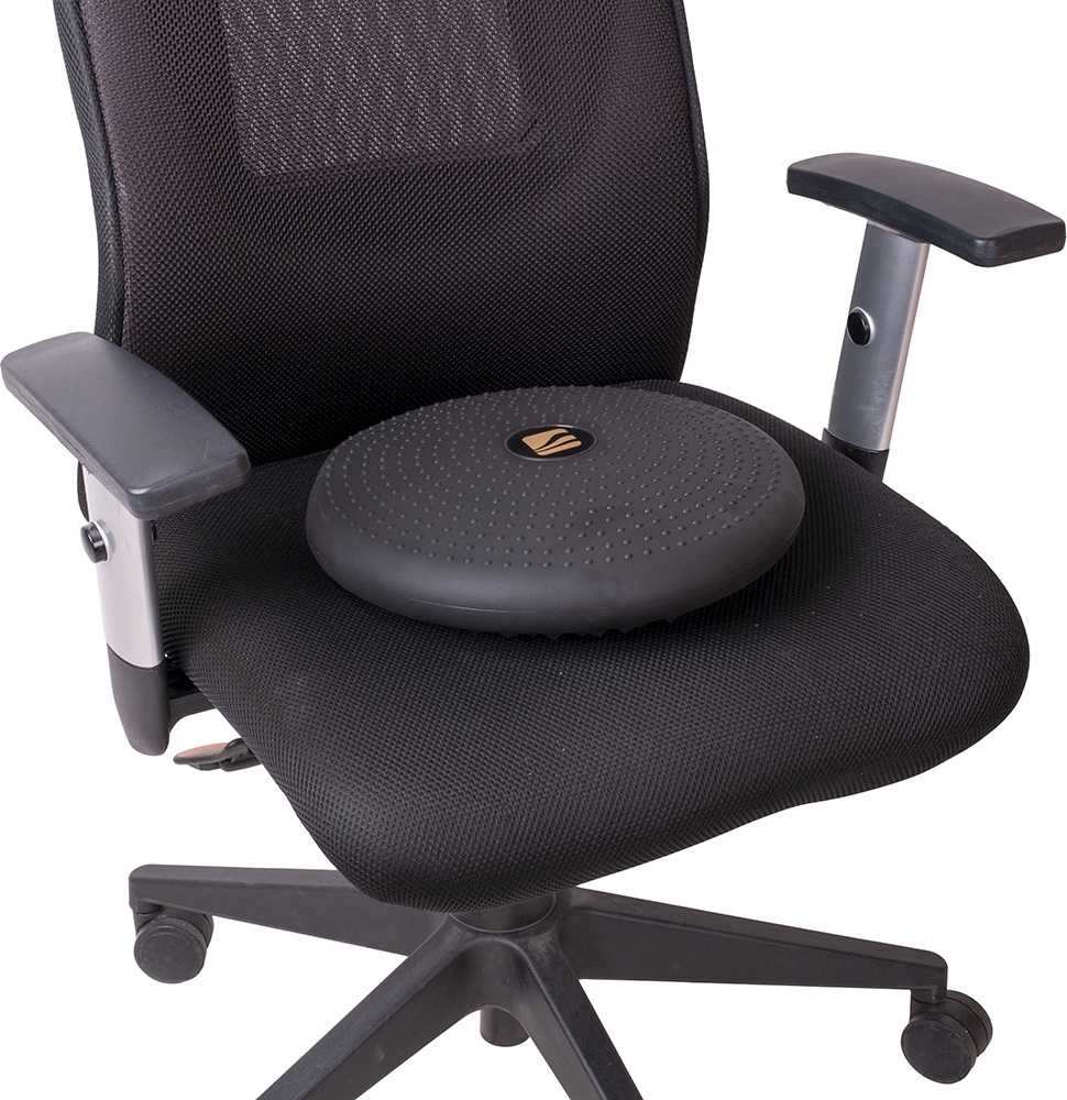 Balansinė pagalvėlė inSPORTline Bumy Sitpad Deluxe