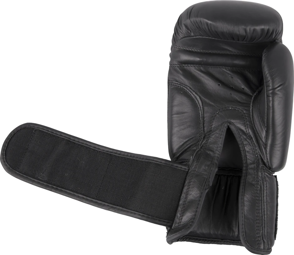 Bokso pirštinės Spartan Top Ten - 12 oz.