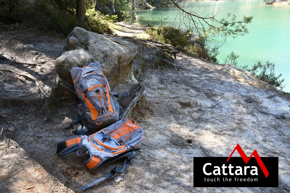 Cattara Kuprinė 10 l, oranžinė
