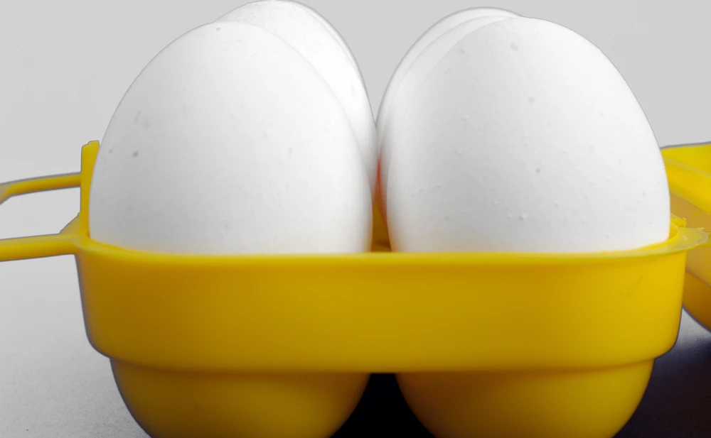 Coghlans Egg Holder