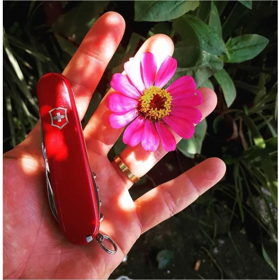 Victorinox Peilis Swiss Champ 1.6795