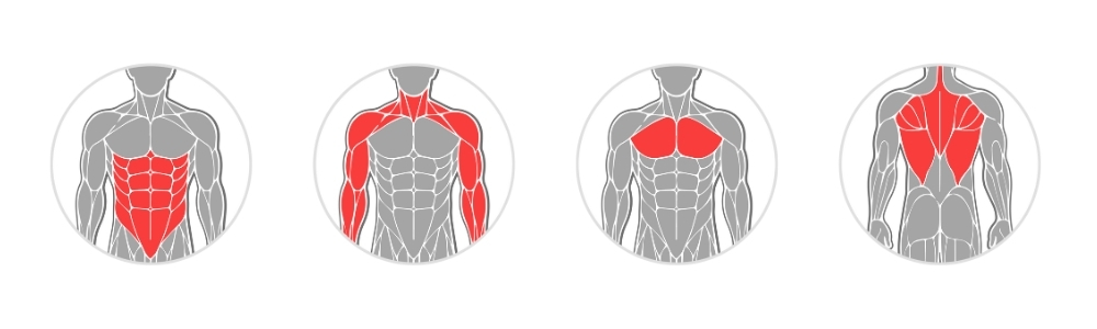 Arm Trainer inSPORTline Griphoop aprašymas - Prekės nuotrauka