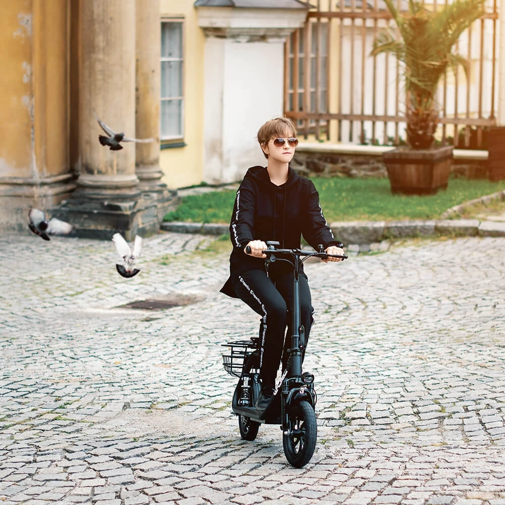 E-Scooter W-TEC Billar III 500W 12”