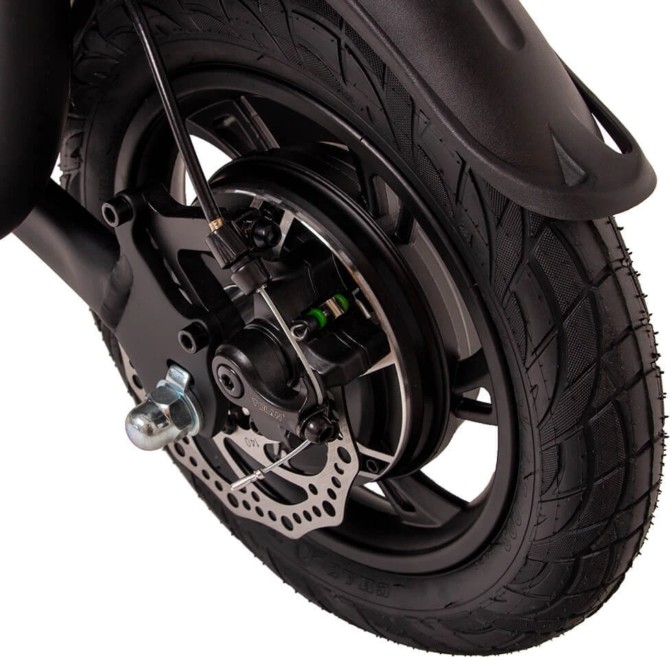 E-Scooter W-TEC Billar III 500W 12”
