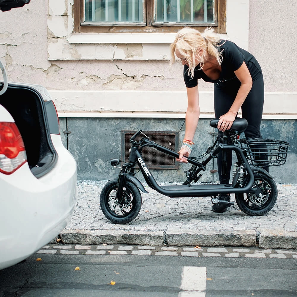 E-Scooter W-TEC Billar III 500W 12”
