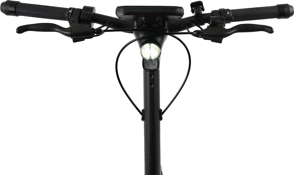 Elektrinis paspirtukas W-TEC Lambreto Max III 700 W 10"