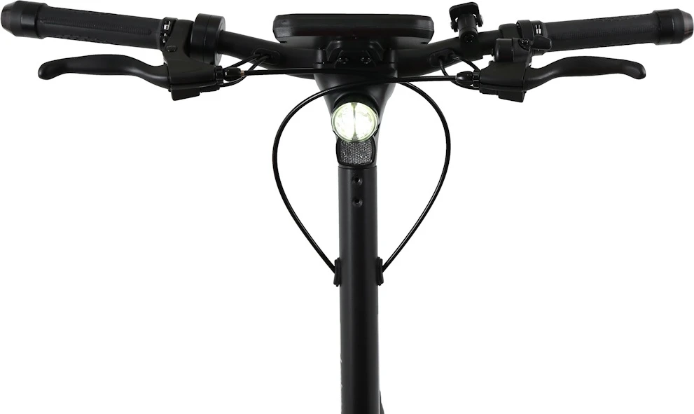 Elektrinis paspirtukas W-TEC Lambreto Max III 700 W 10"