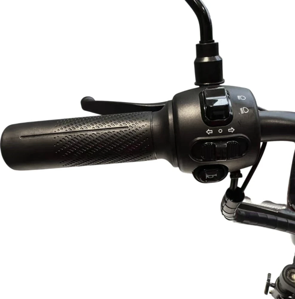 Elektrinis motoroleris W-TEC E-Greta II 12Ah 18"