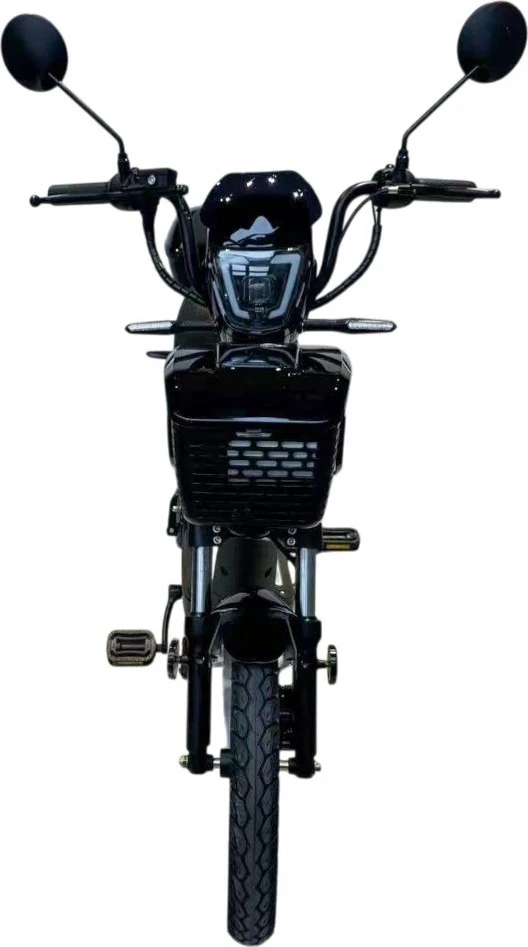 Elektrinis motoroleris W-TEC E-Greta II 12Ah 18"