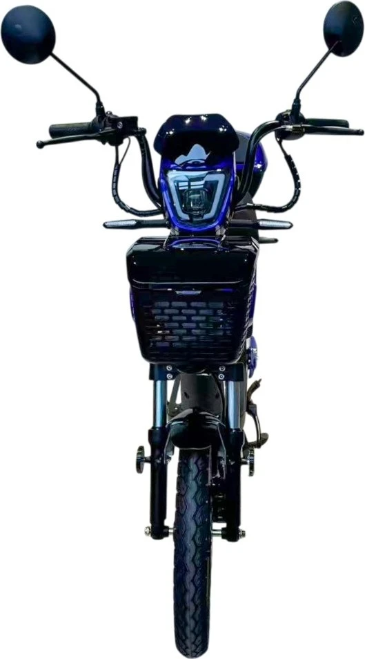 Electric Scooter W-TEC E-Greta II 12Ah 18"