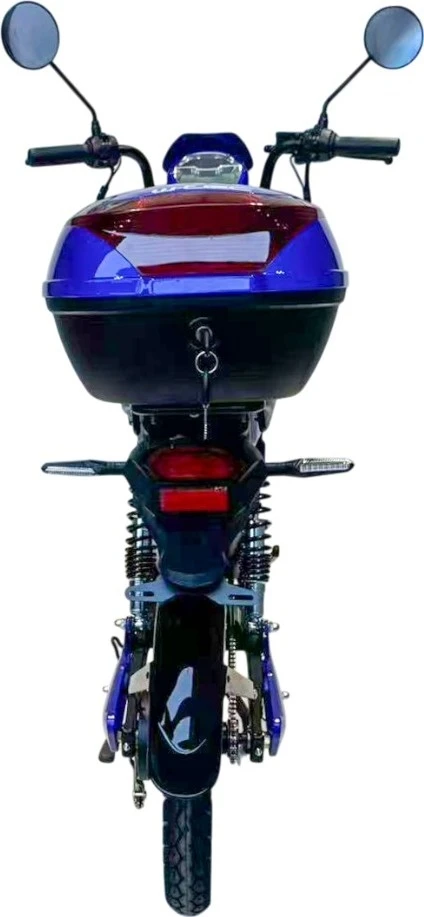 Electric Scooter W-TEC E-Greta II 12Ah 18"