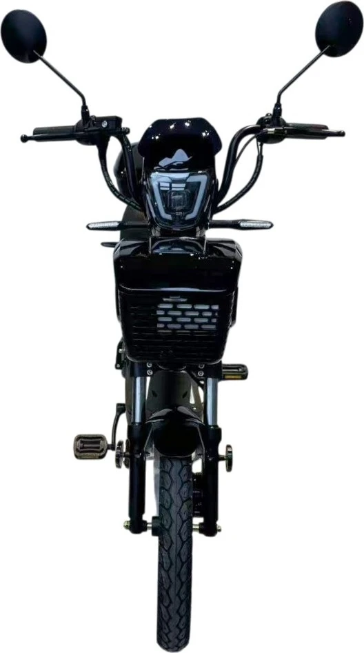 Electric Scooter W-TEC E-Greta II 12Ah 18"