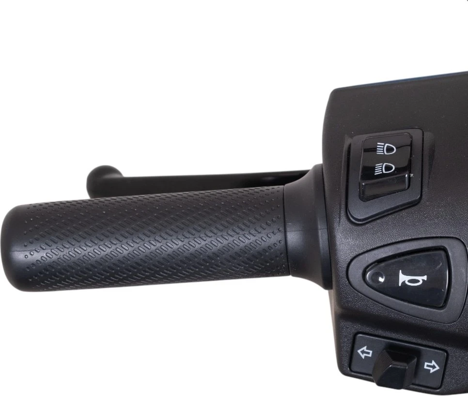 Elektrinis motoroleris W-TEC Raike II 10”