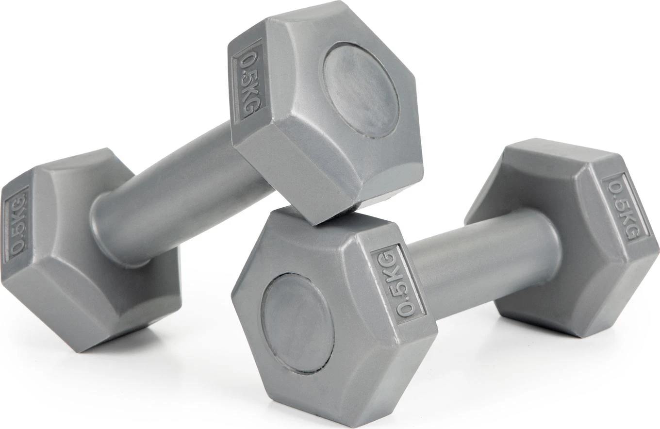 Fitneso hantelių rinkinys ModernHOME, pilkas, 2 x 0,5kg
