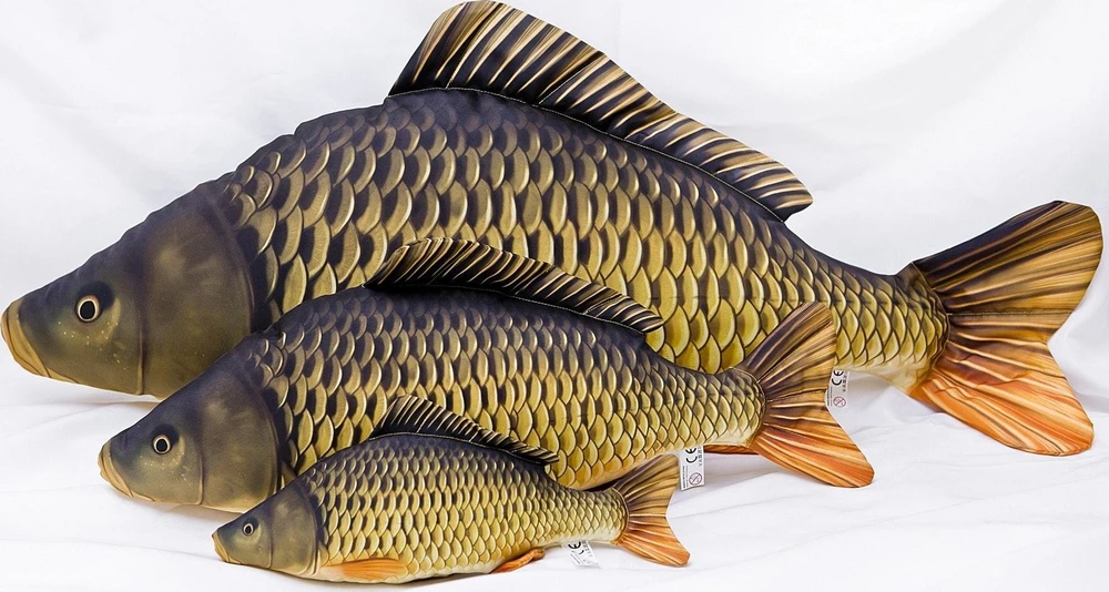 Energofish Gaby Pagalvė The Common Carp