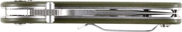 Ganzo Firebird Sulankstomas peilis Ganzo D704-GR žalias
