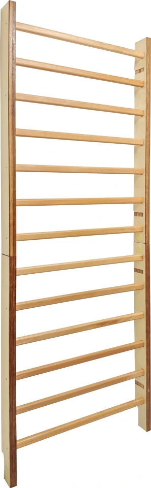 Gimnastikos sienelė inSPORTline Dualmar 220 x 65 cm
