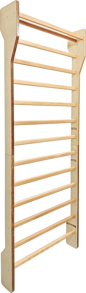 Gimnastikos sienelė inSPORTline Shapemar 250 x 90 cm