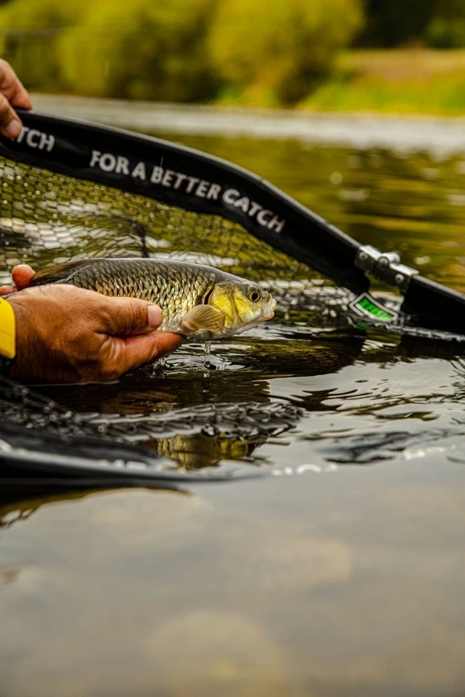 Perpetinis tinklas Zfish Landing DLX 160 cm