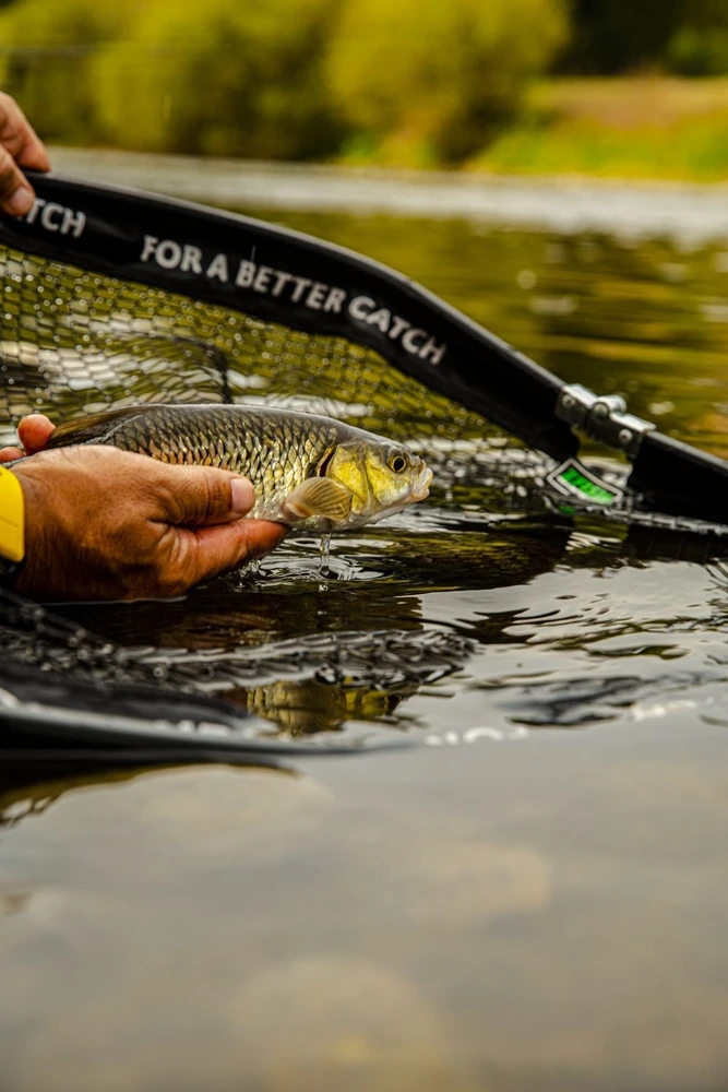 Perpetinis tinklas Zfish Landing DLX 160 cm