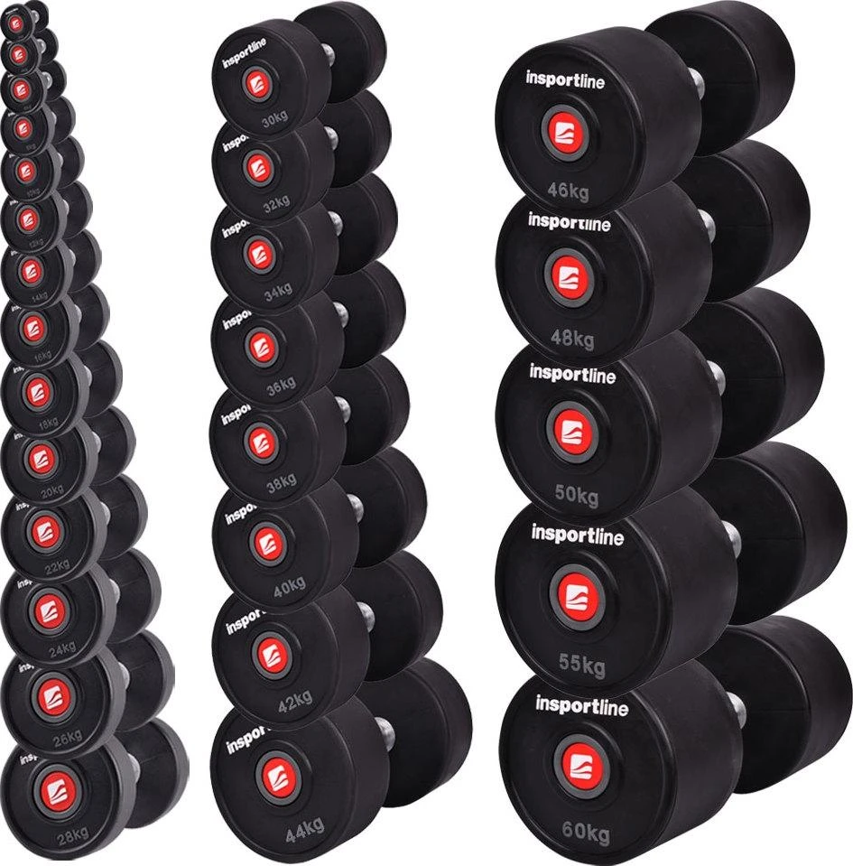 Gumuotas hantelis inSPORTline PRO 16kg