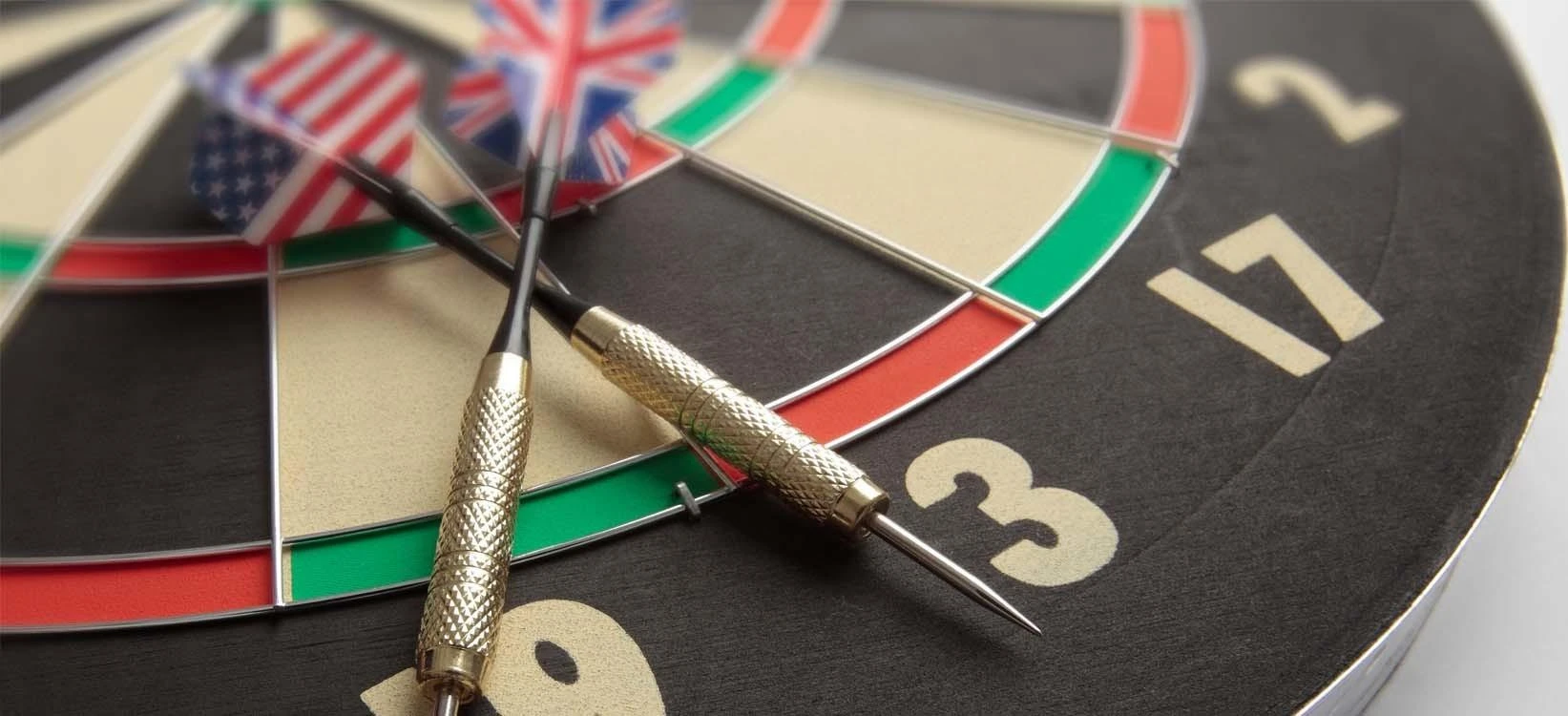 Harrows Darts taikinys BRISTOW'S FAMILY su strėl.