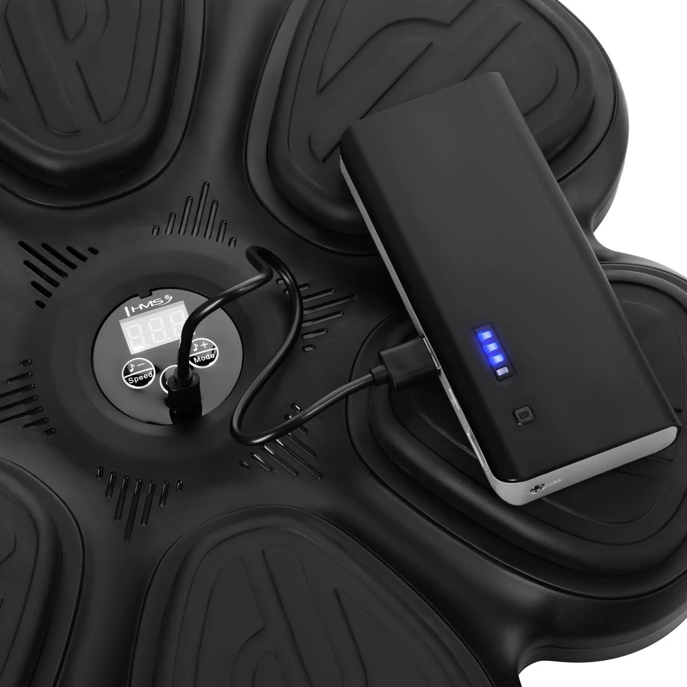 Interaktyvus bokso taikinys su Bluetooth, muzika ir pirštinėmis TB12 HMS