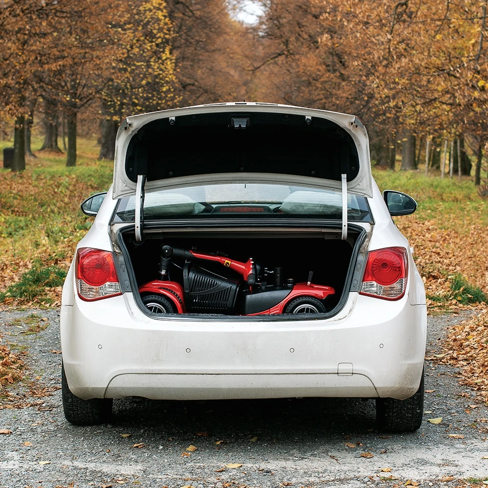 Keturračio elektrinis vežimėlis inSPORTline Omis