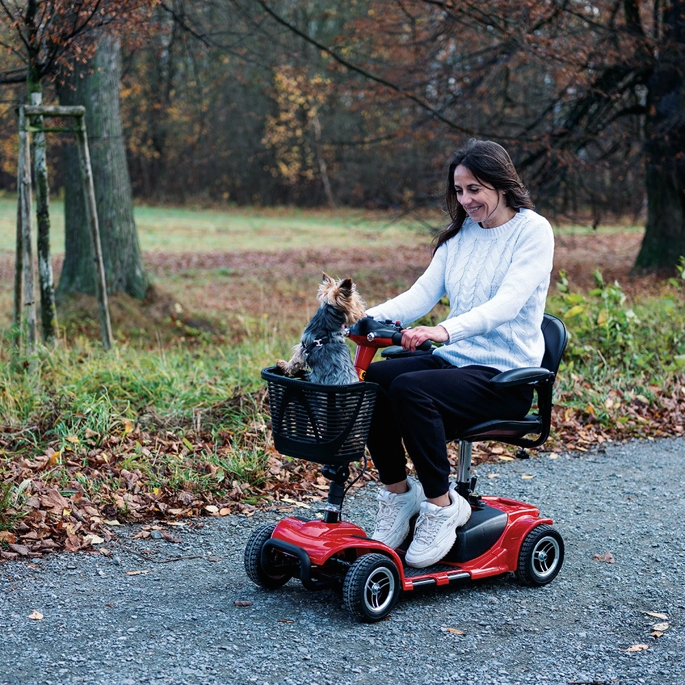 Keturračio elektrinis vežimėlis inSPORTline Omis