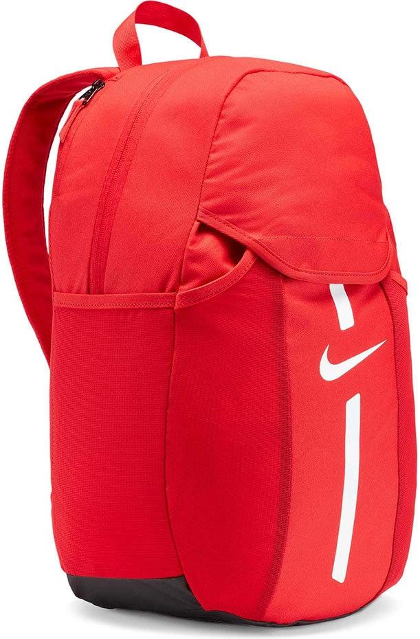 Nike Academy Team DC2647 657 sportinė 