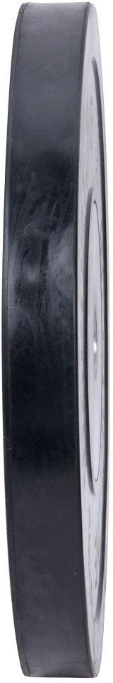 Olimpinis svoris tinkamas mėtymui 50mm inSPORTline BumperPlate 20kg