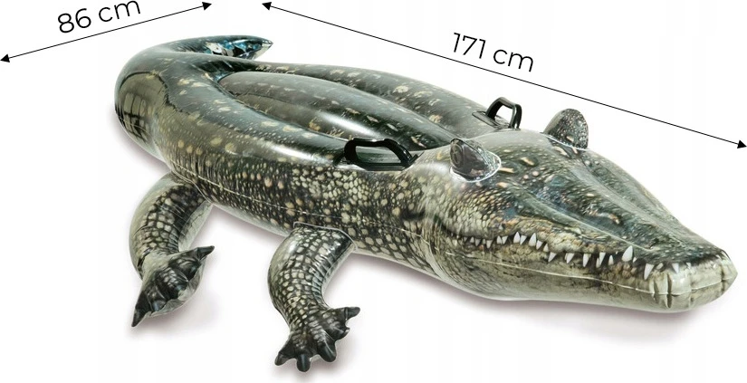Intex Ride Ant plaukimo lentos Realistinis Gator Amžius 3+, 170 x 86 cm