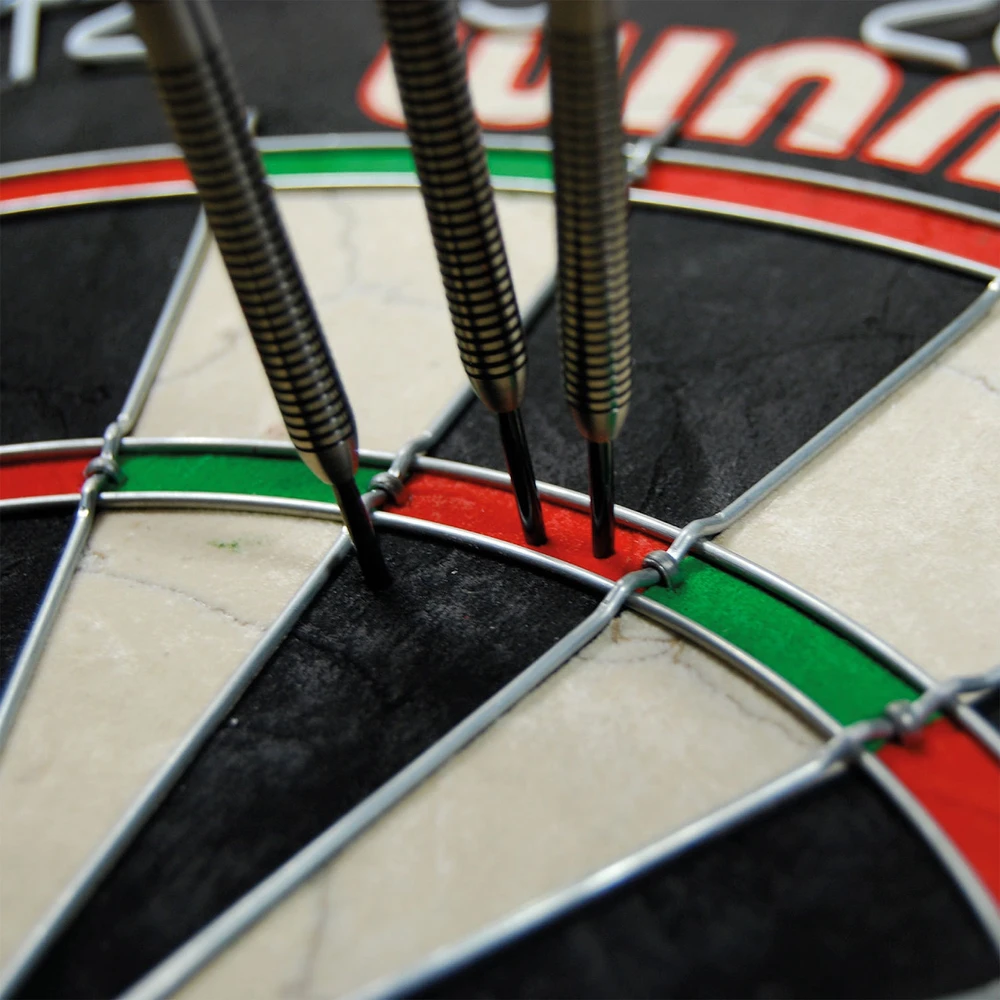 Smiginio taikinys WINMAU SFB