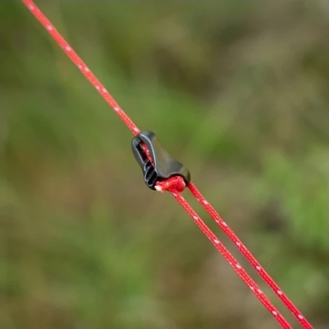 Tarpas Alpinus Zagros žalias